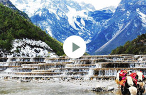 2017��tyc1286̫���ɼ��ſƼ��Ž�-����֮��